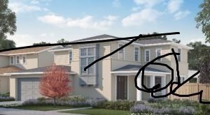 “Duck Boards” (wooden floor boards)